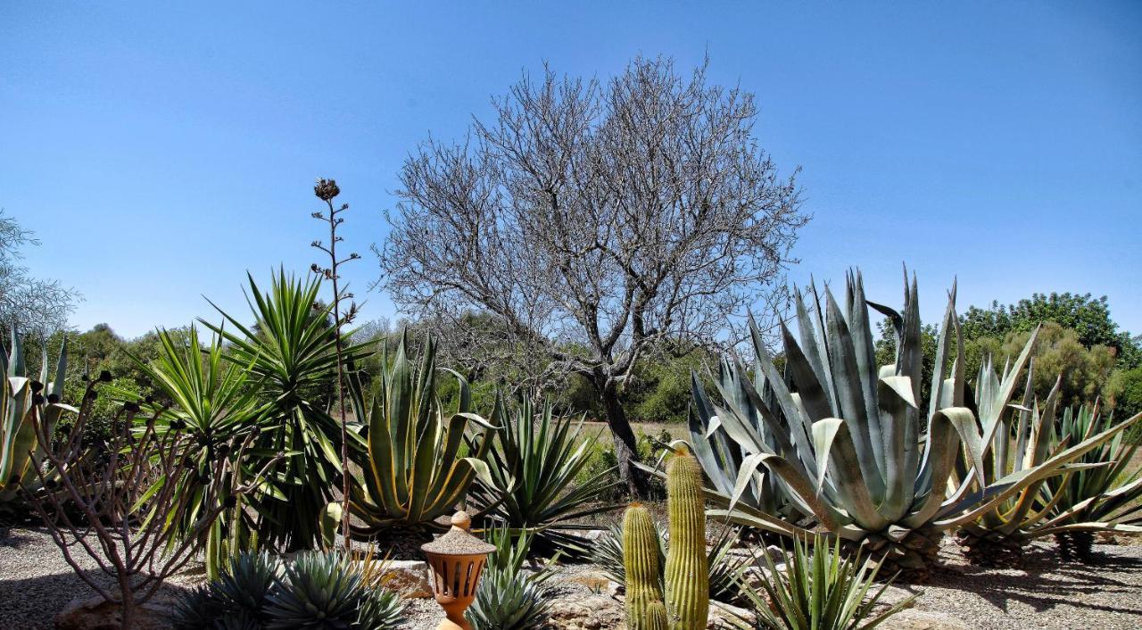 Finca Casa Mas ซานตานยี ภายนอก รูปภาพ