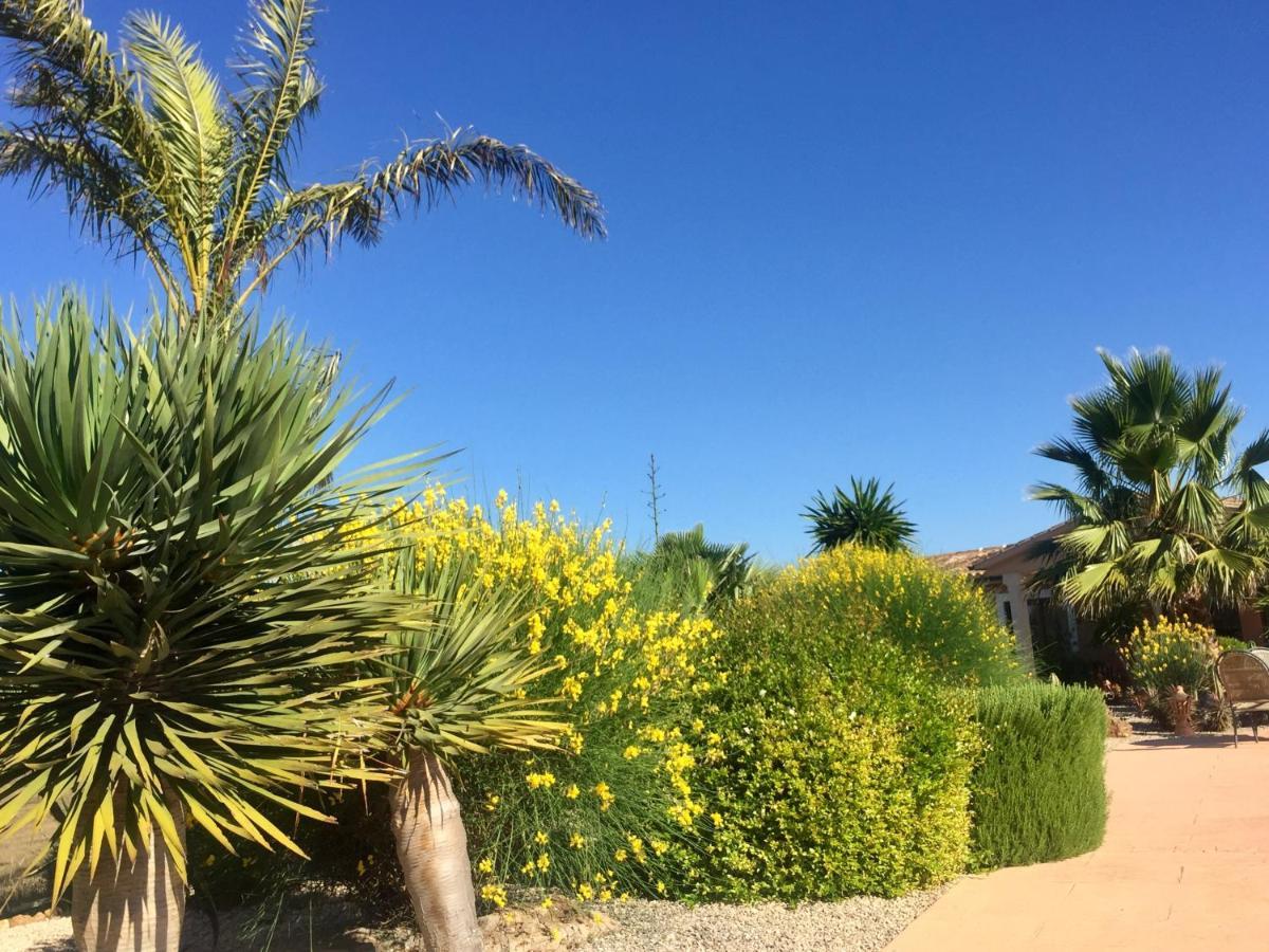 Finca Casa Mas ซานตานยี ภายนอก รูปภาพ
