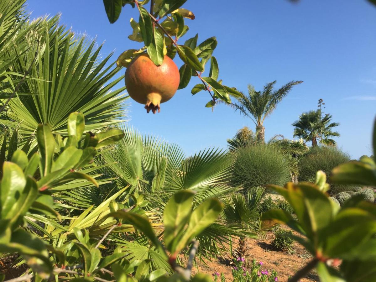 Finca Casa Mas ซานตานยี ภายนอก รูปภาพ